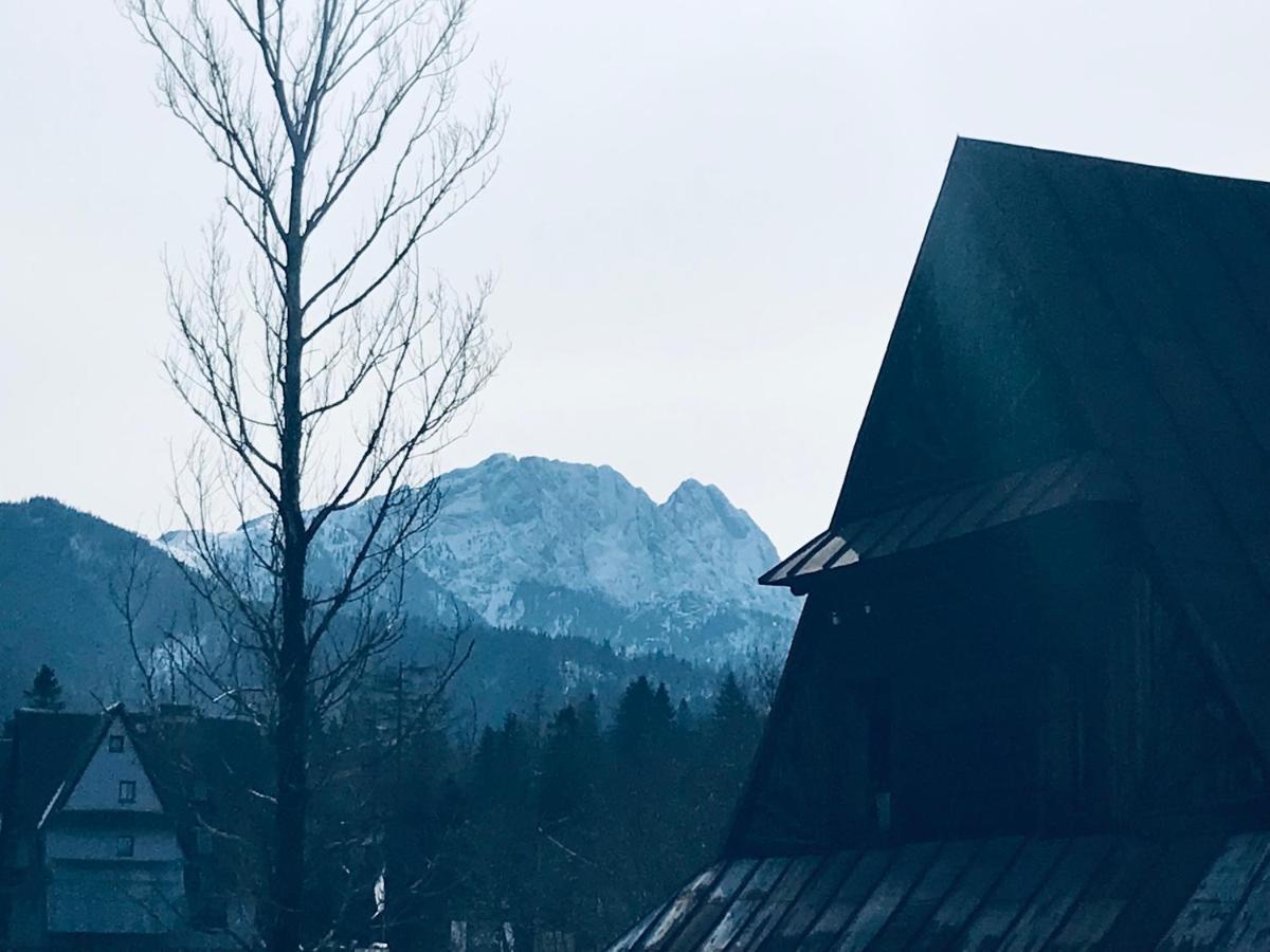 Willa Pod Gorami Zakopane Eksteriør bilde