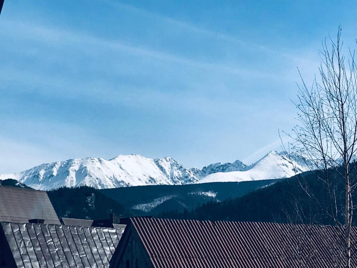 Willa Pod Gorami Zakopane Eksteriør bilde